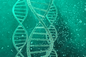Как метилирование регулирует наши гены и влияет на нашу жизнь