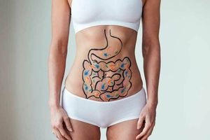 Микрофлора кишечника и нормализация массы тела: как они взаимосвязаны?